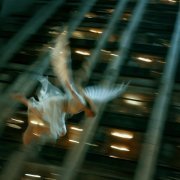 Jumpday, Save Room - Этажи