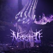 Necrotted