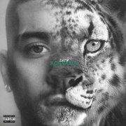 ZAYN - Die For Me