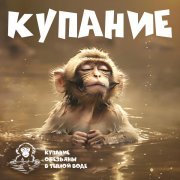 Купание обезьяны в теплой воде - DVD