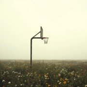 Jazz Lamiere, Nice Davis - Not Local