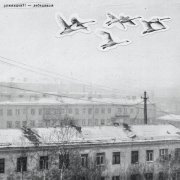 румянцев?! - лебединая