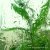 Liquid Planet Recordings - Focus Rain On Shore