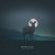 Adrian Berenguer - Between Roads