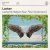 Lookee, Pearl Andersson - Losing My Religion (feat. Pearl Andersson)