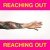 Dillon Francis, Bow Anderson - Reaching Out
