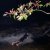Carlos Nino, Carlos Niño & Friends, Laraaji, Photay - Maha Rose North 102021, Breathwork