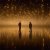 Alan Walker, King - Story of a Bird
