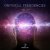 The Faders, Mental Broadcast - Psychedelic Theory (Original Mix)