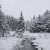 Jim Perkins - Winter