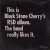 Black Stone Cherry - I Miss You