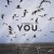 Netsignala - YOU