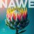 SYNFLO - Nawe