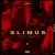 SLIMUS, Стриж - Дело было вечером