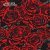 Alex Spite - Million Roses