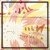 Alabaster Deplume, Momoko Gill, MettaShiba - Did You Know