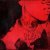 blackbear - HATE MY GUTS