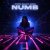 Stefre Roland, Iriser - Numb