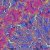 Carlos Nino, Carlos Niño & Friends, Nate Mercereau, Photay - Moonlight Watsu in Dub