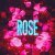 C-UTE - Rose