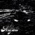 Codec - Majestic