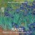 New European Ensemble, Rada Ovcharova, Willem Stam - Sonata for Violin and Cello, M. 73: IV. Vif, avec entrain