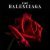 Filv - BALENCIAGA
