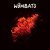 The Wombats - My Circuitboard City
