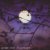 Edmofo - Under the Moonlight