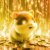QMIIR - CRYPTO HAMSTER