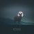 Adrian Berenguer - Little Things