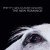 Pretty Girls Make Graves - A Certain Cemetery