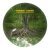DANNEE - ROOTS