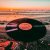 Vippe - Reason