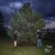 100 gecs, Laura Les, Dylan Brady - 745 sticky