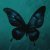Ashess, vishæs - butterfly effect (Spedup)