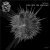 The Bedouin, Pattern Drama - Spiral Eyes