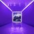 Fall Out Boy, Burna Boy - Sunshine Riptide