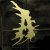 Attila - Proving Grounds
