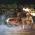 Busy Signal - Stay So