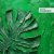 TRITICUM - On Repeat