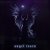 SH3TLVIZ, Nightwane - angel tears (Slowed)