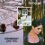 TRITICUM - Somebody Like You