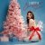 DARYANA - christmas juice