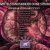 N D M A - Vitan (Original Mix)