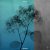 TRITICUM - Fiction