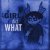 prodbyluffy - GIRL DID WHAT - MEGA SLOWED