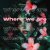 C-UTE - Where We Are