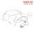 Vance Joy - Like Gold