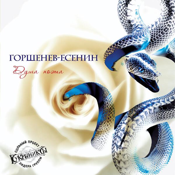 Алексей Горшенев - Чёрный человек